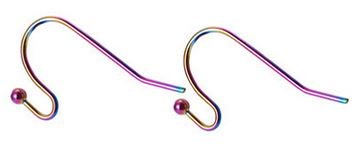 Earwire - Stainless Steel - Rainbow - 1 pair (2 pieces)