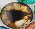 Cabochon - Dragon Eye - 10mm - 10 pieces