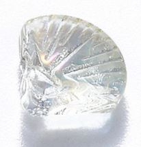 Glass - Scallop - 10mm - 5 pieces