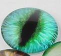 Cabochon - Dragon Eye - 10mm - 10 pieces