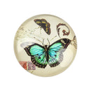 Cabochon - Glass - Round - 12mm - Butterfly - 10 pieces
