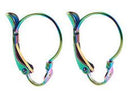Earwire - Stainless Steel - Rainbow - 1 pair (2 pieces)