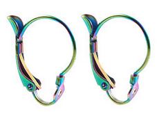 Earwire - Stainless Steel - Rainbow - 1 pair (2 pieces)