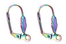 Earwire - Stainless Steel - Rainbow - 1 pair (2 pieces)