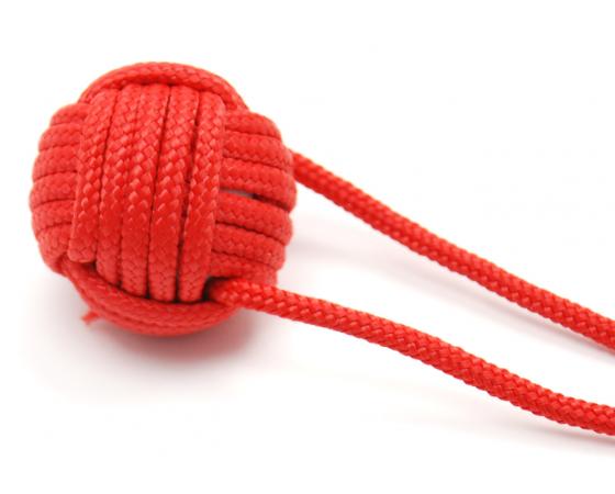 Paracord
