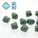Czech - Silky Beads - Two Holed - 40 beads
