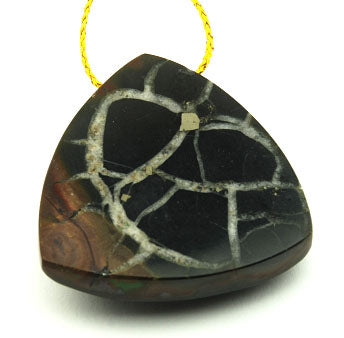 Septarian