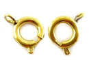 Clasp - Spring Ring - 6mm