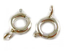 Clasp - Spring Ring - 6mm