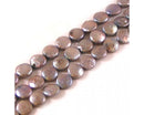 Freshwater - Coin - 38cm strand